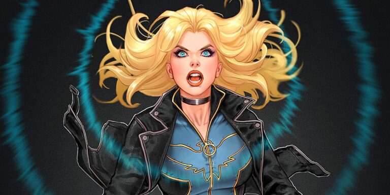 Chaque costume et refonte de Black Canary s'unit dans un art à couper le souffle qui…