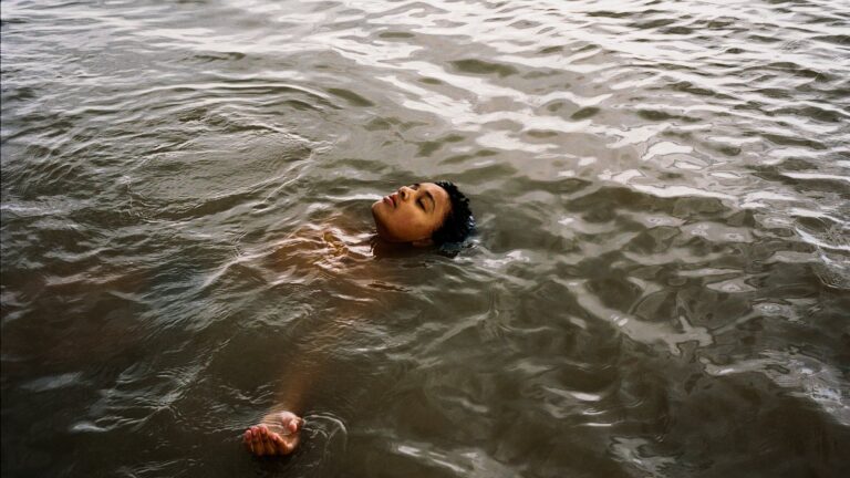 Examen des oiseaux | Andrea Arnold atteint de nouveaux sommets