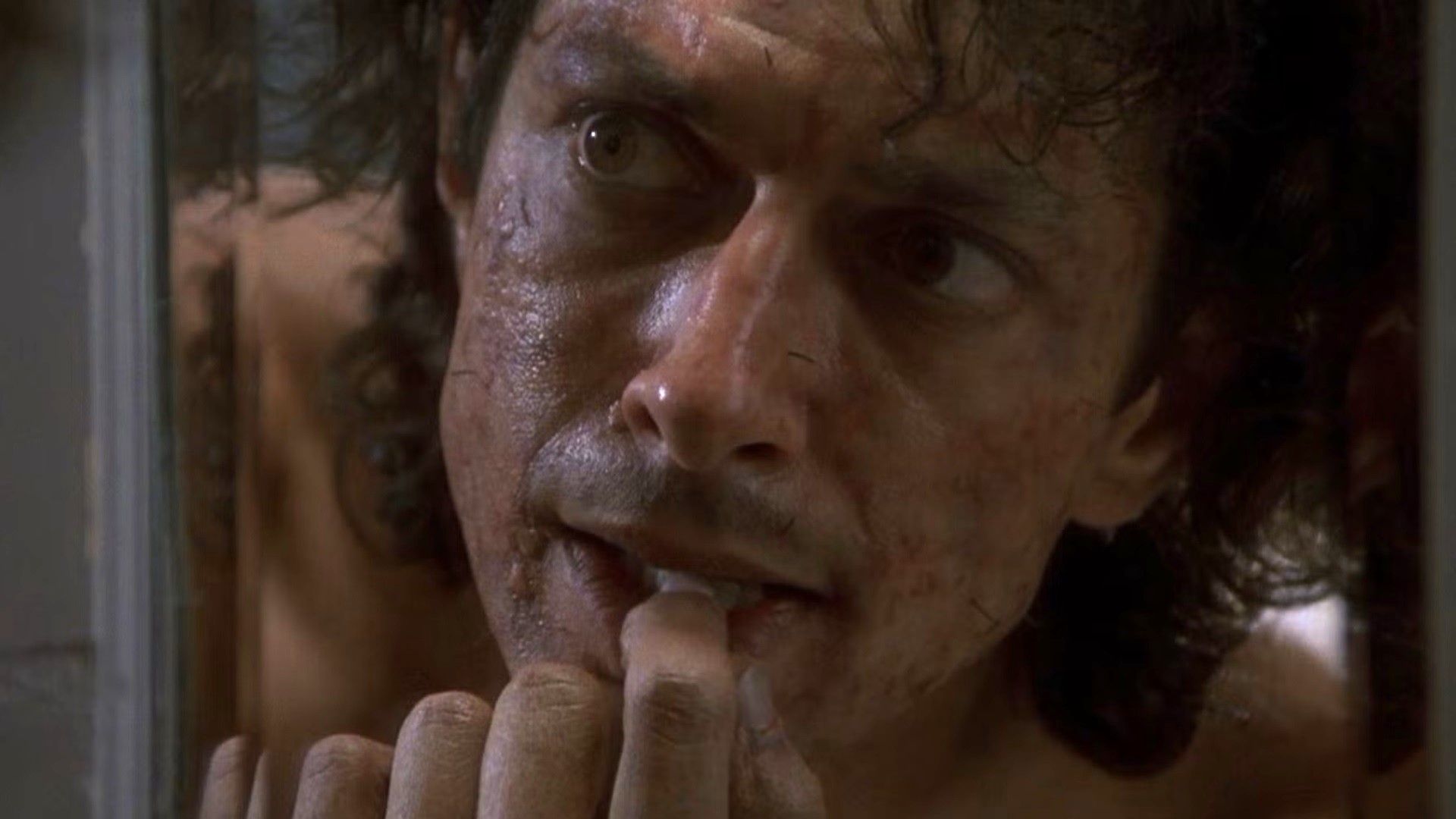 La suite du Body Horror Classic de David Cronenberg en préparation