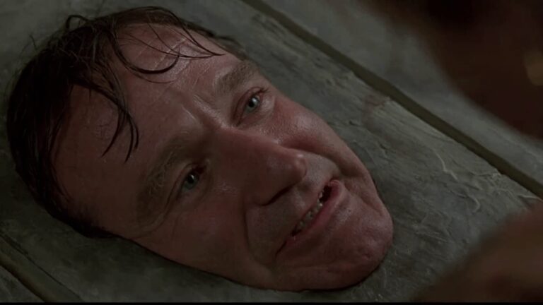 Mme Doubtfire et Jumanji en streaming maintenant sur Tubi
