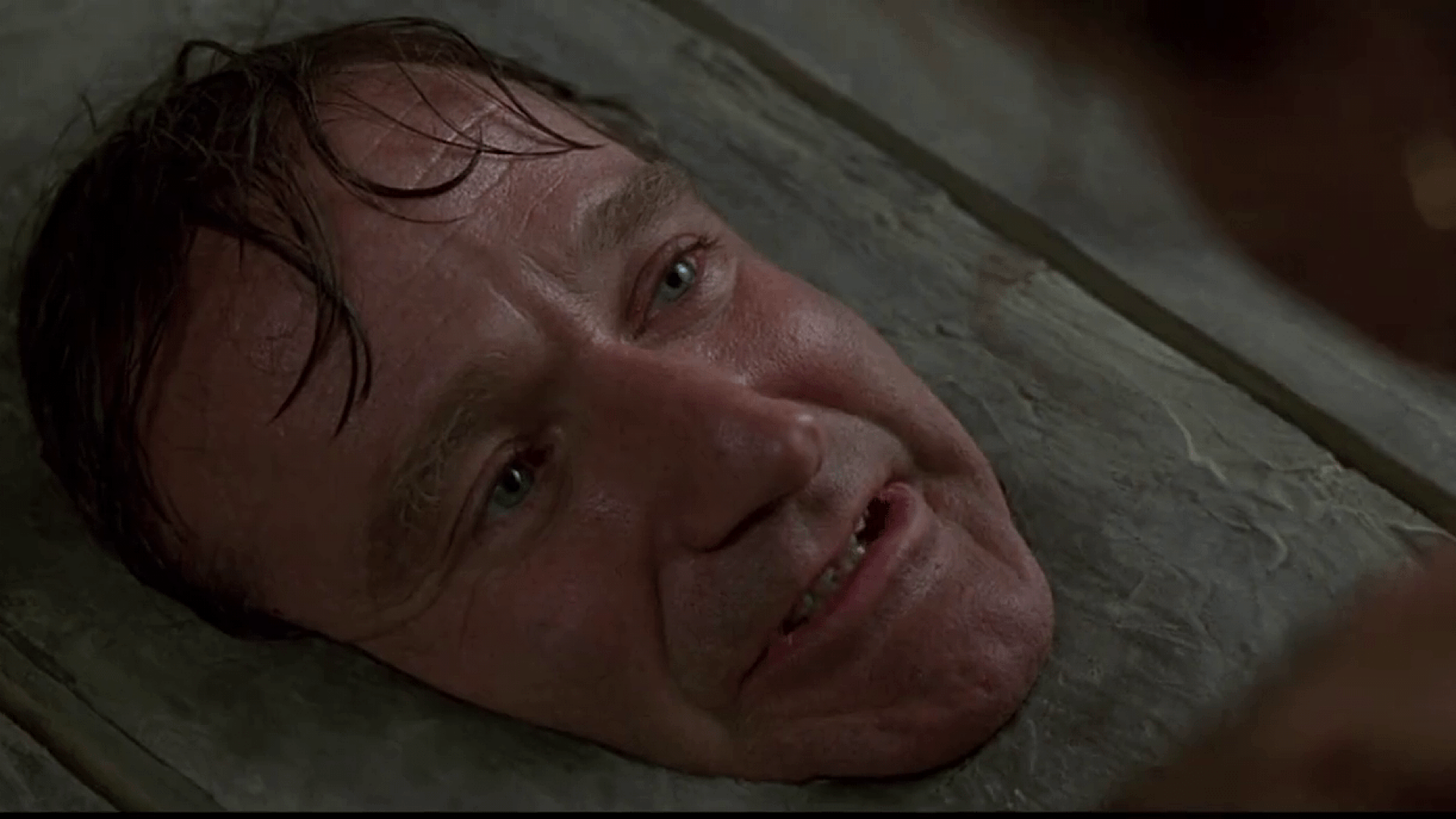 Mme Doubtfire et Jumanji en streaming maintenant sur Tubi