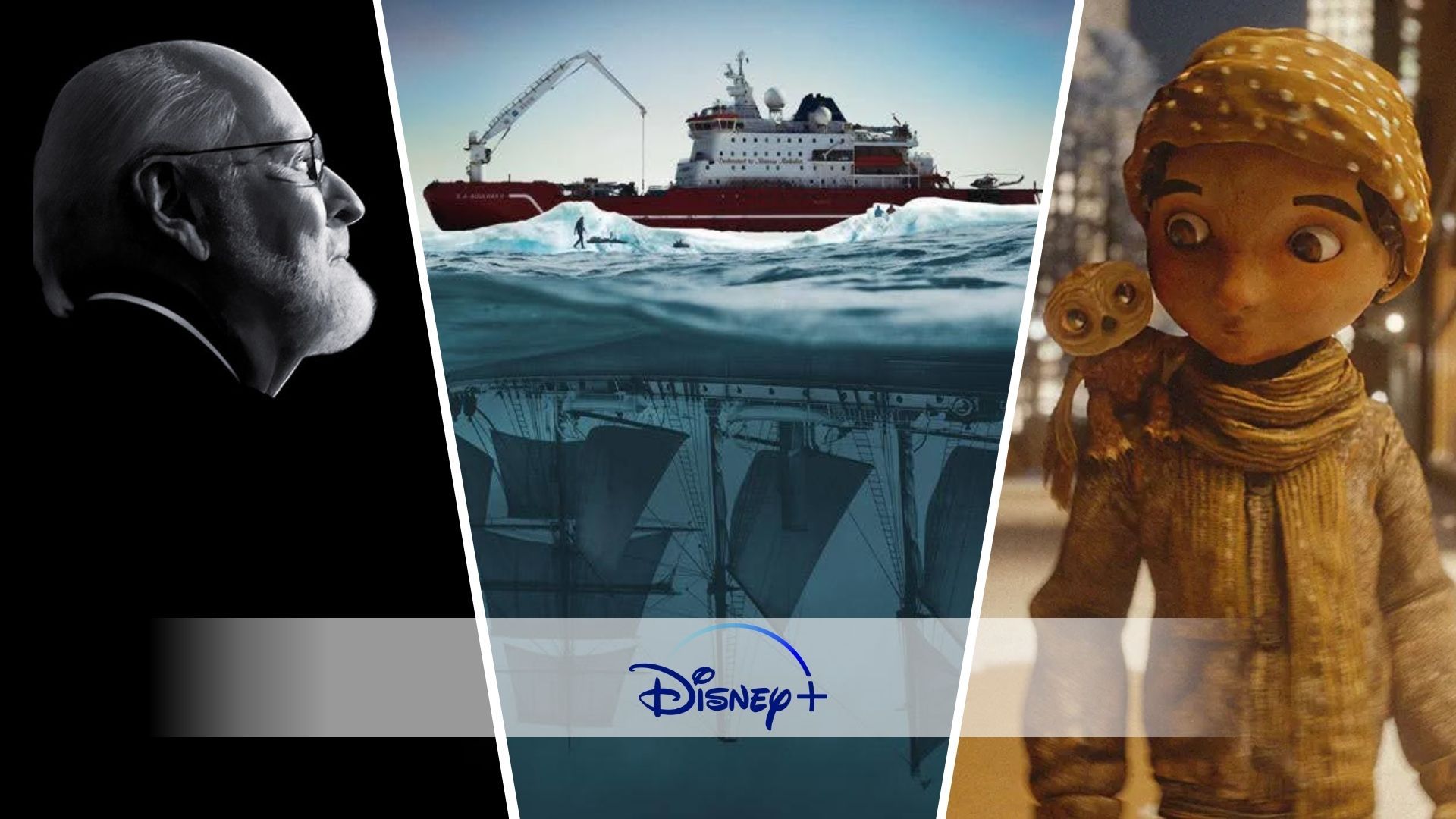 Tous les films à venir sur Disney+ en novembre 2024