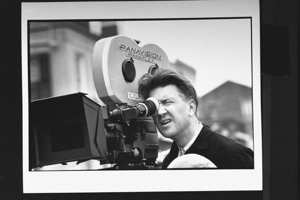 1737074216 335 David Lynch en photos Milestones avec Laura Dern Cannes