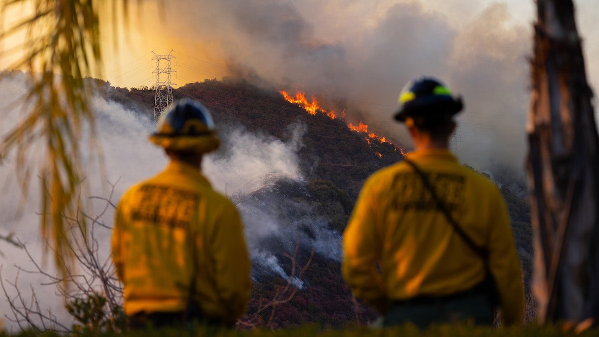 6 000 travailleurs d'Hollywood exhortent le cinéma et la télévision à rester à Los Angeles pour aider la ville à se reconstruire après les incendies de forêt