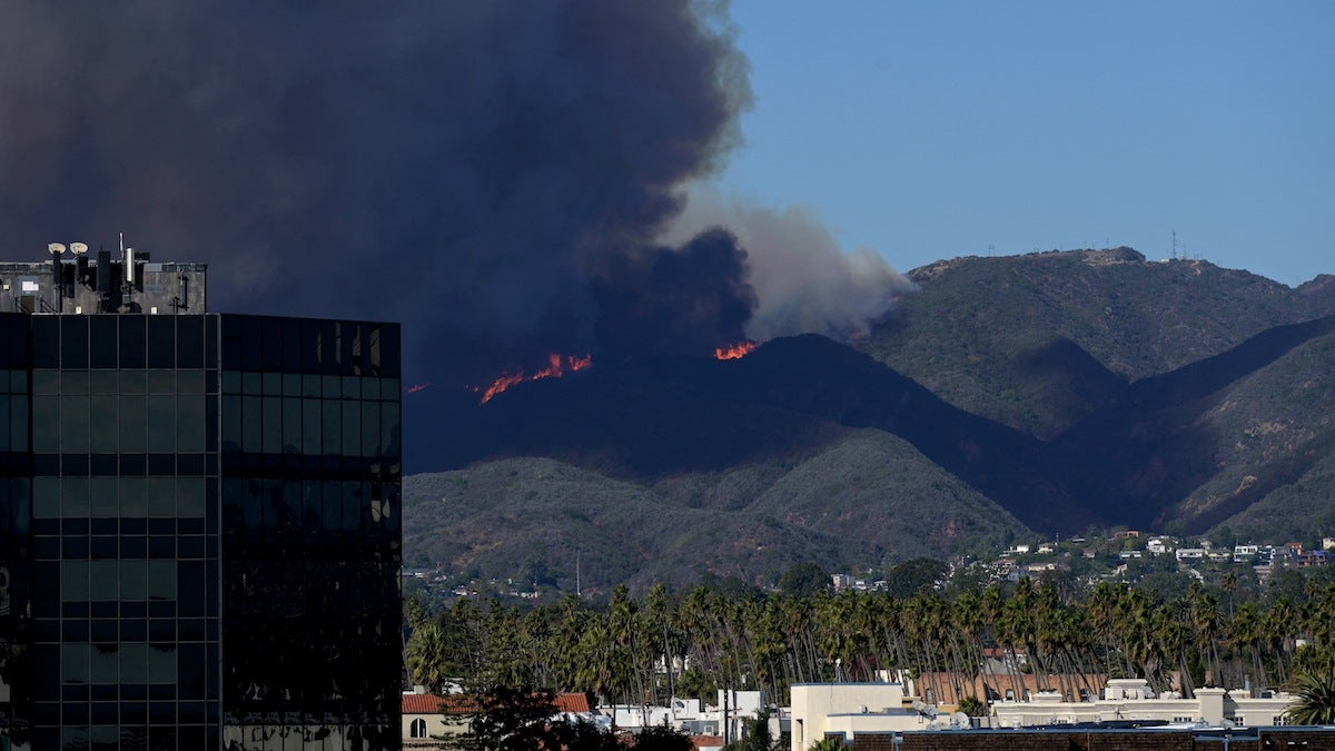 Les incendies de forêt à Los Angeles et les tempêtes hivernales sur la côte Est pourraient avoir des conséquences néfastes sur le box-office