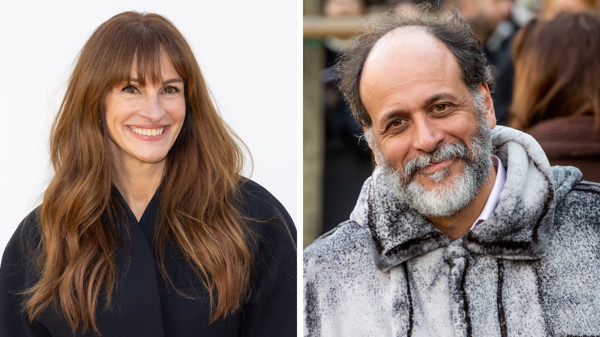 Julia Roberts-Luca Guadagnino Thriller `` After the Hunt 'Date de sortie de la saison des prix Hunt