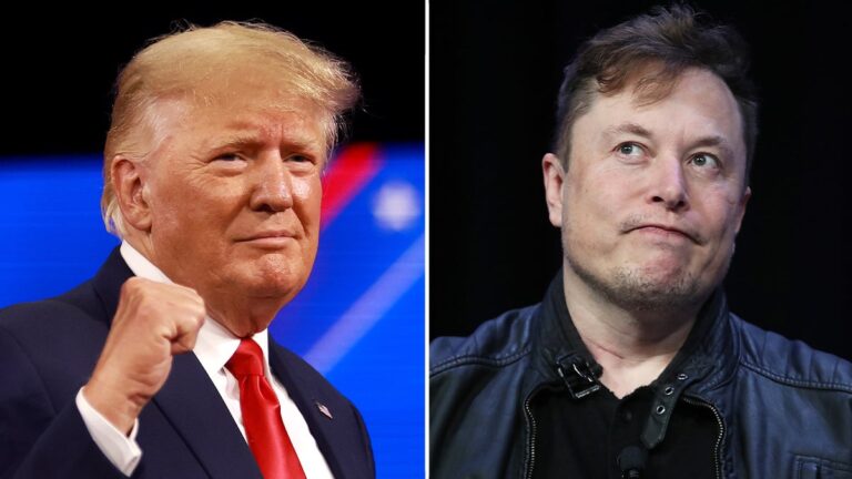Le juge fédéral bloque temporairement les Doge d'Elon Musk du système de paiement du trésor sensible