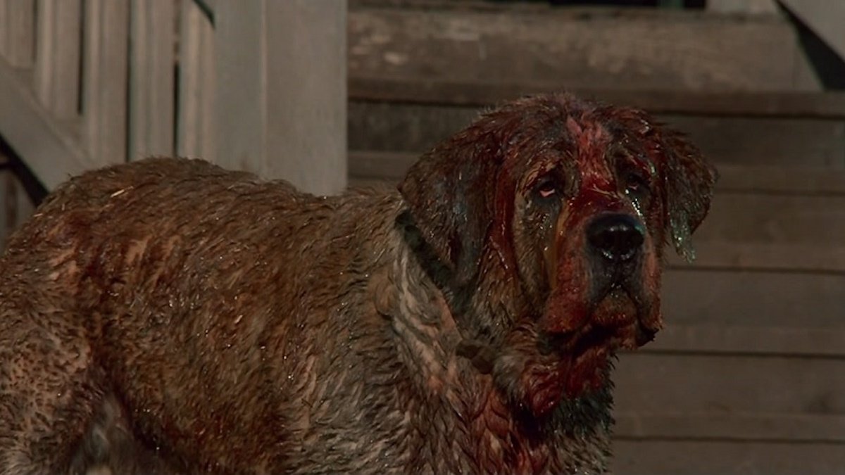 Remake «Cujo» de Stephen King dans les travaux de Netflix