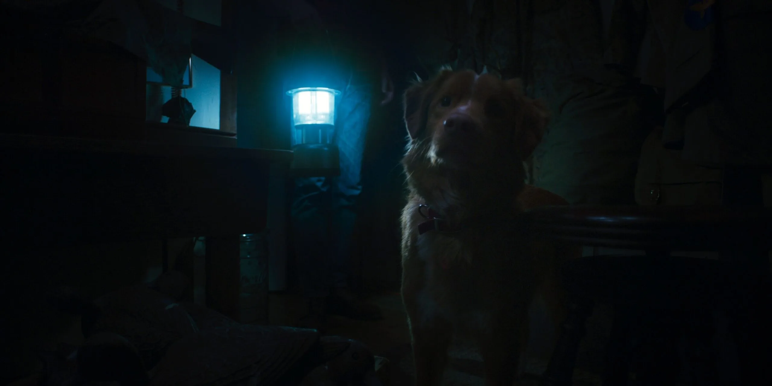 1753191529 600 Fantasia 2025 Terrestrial Hold the Fort Good Boy Festivals.webp