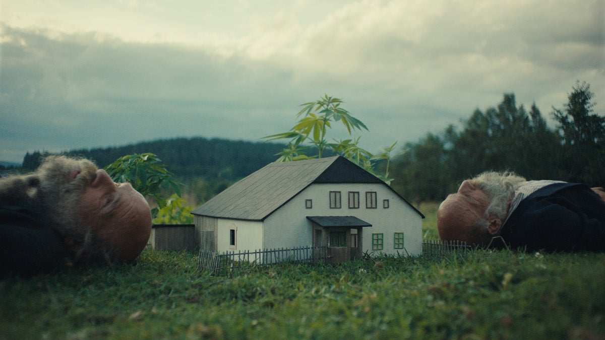 Revue `` Mieux aller fou dans la nature '': le documentaire tchèque est le meilleur film jumeau de l'année