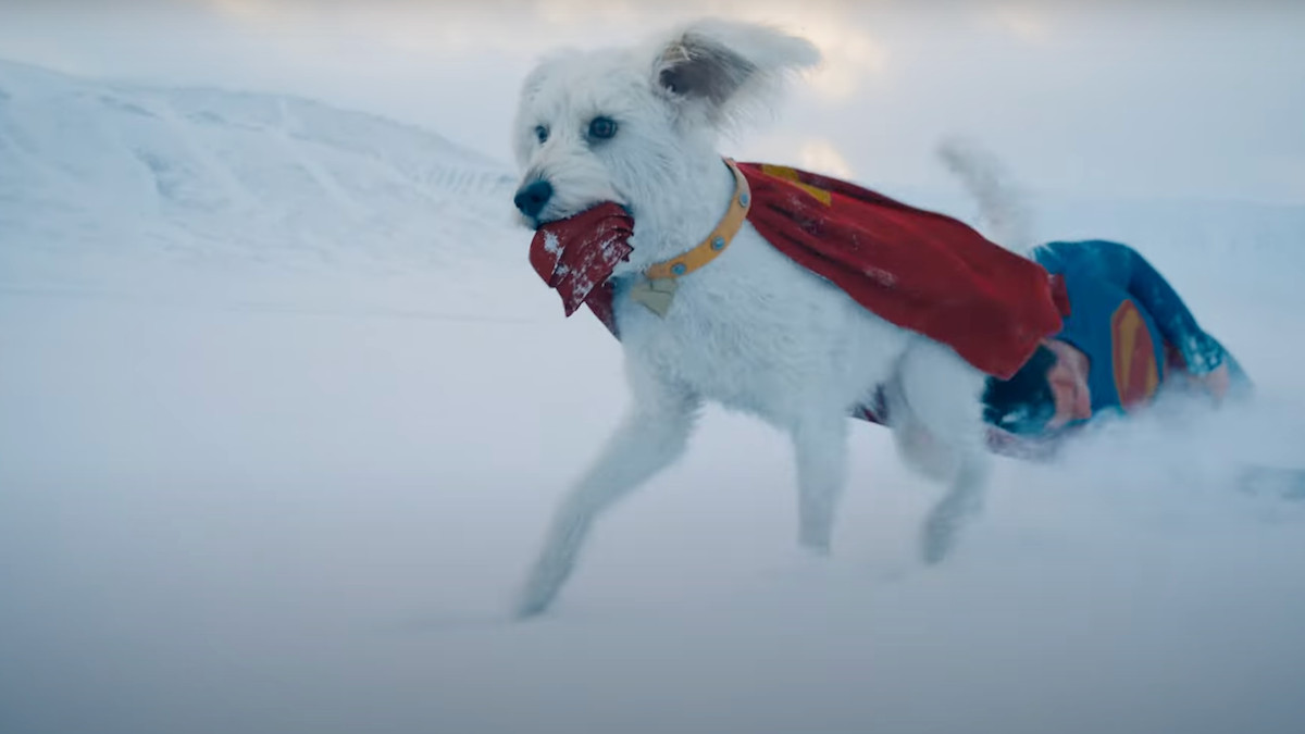 Une réponse à la question la plus importante de «Superman»: Krypto survit-il?