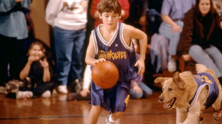 « Air Bud Returns ': la recherche nationale pour les star de chien commence
