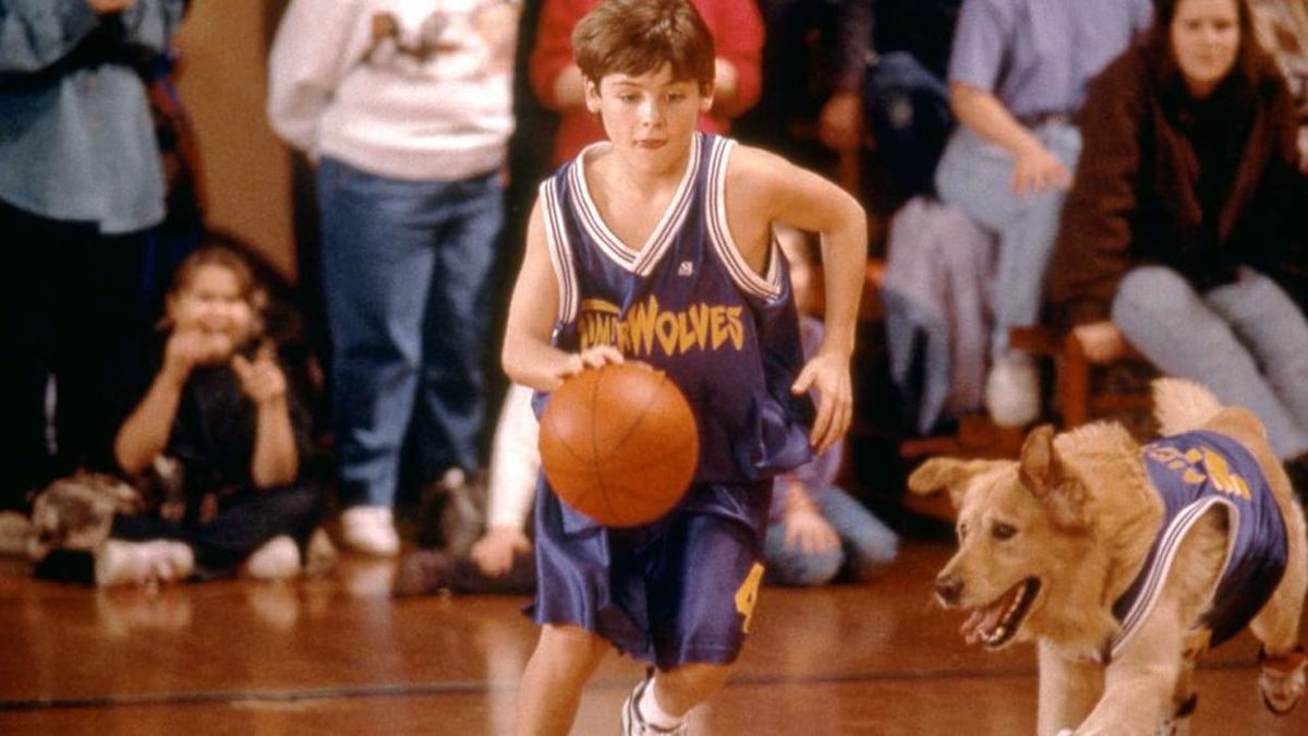 `` Air Bud Returns ': la recherche nationale pour les star de chien commence