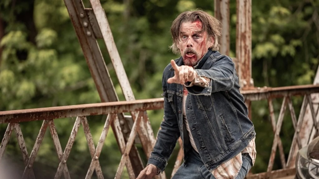 The-Lowdown-Ethan-Hawke-saieding-fx