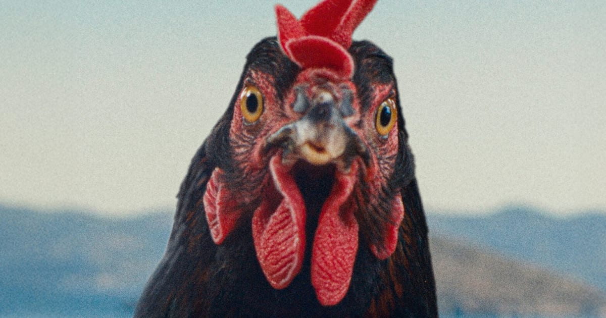 HEN - Premier avis de look | Little blanc mensonges