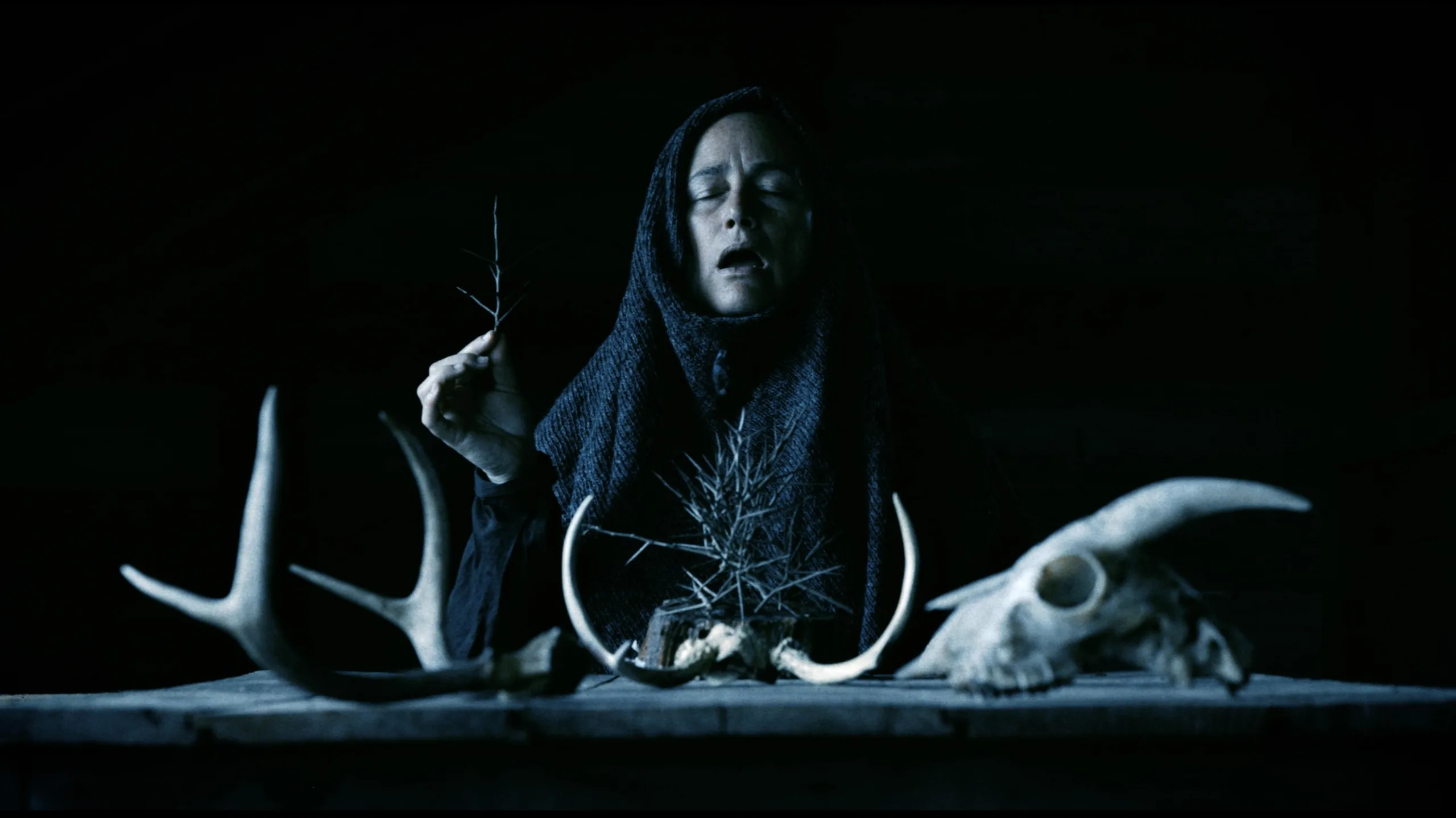 Fantastic Fest 2025 Marama Mother of Flies Bulk Festivals.webp