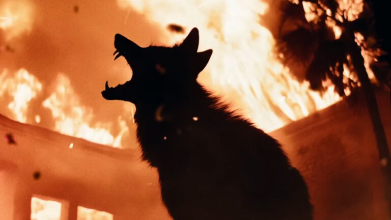 Revue des «  coyotes '': le thriller Gnarly Killer-Canine est tout morsure, pas d'écorce