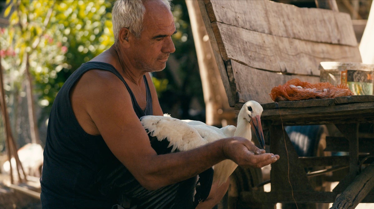 `` The Tale of Silyan '' de Tamara Kotevska atterrit à Nat Geo pour une libération de streaming théâtrale