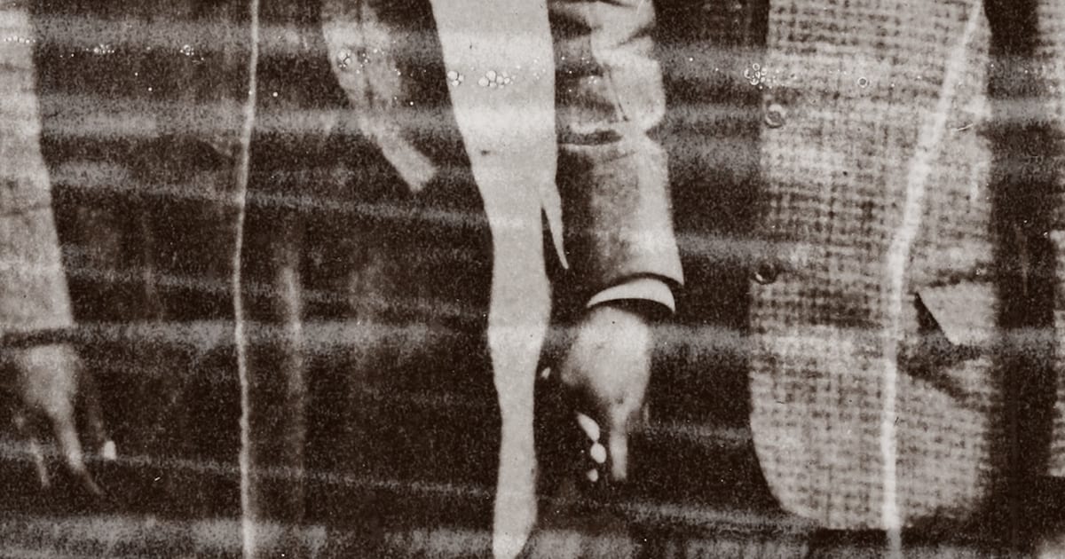 La mémoire des papillons – premier aperçu