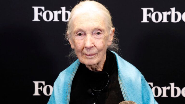 Jane Goodall, célèbre scientifique des primates et défenseur des animaux, décède à 91