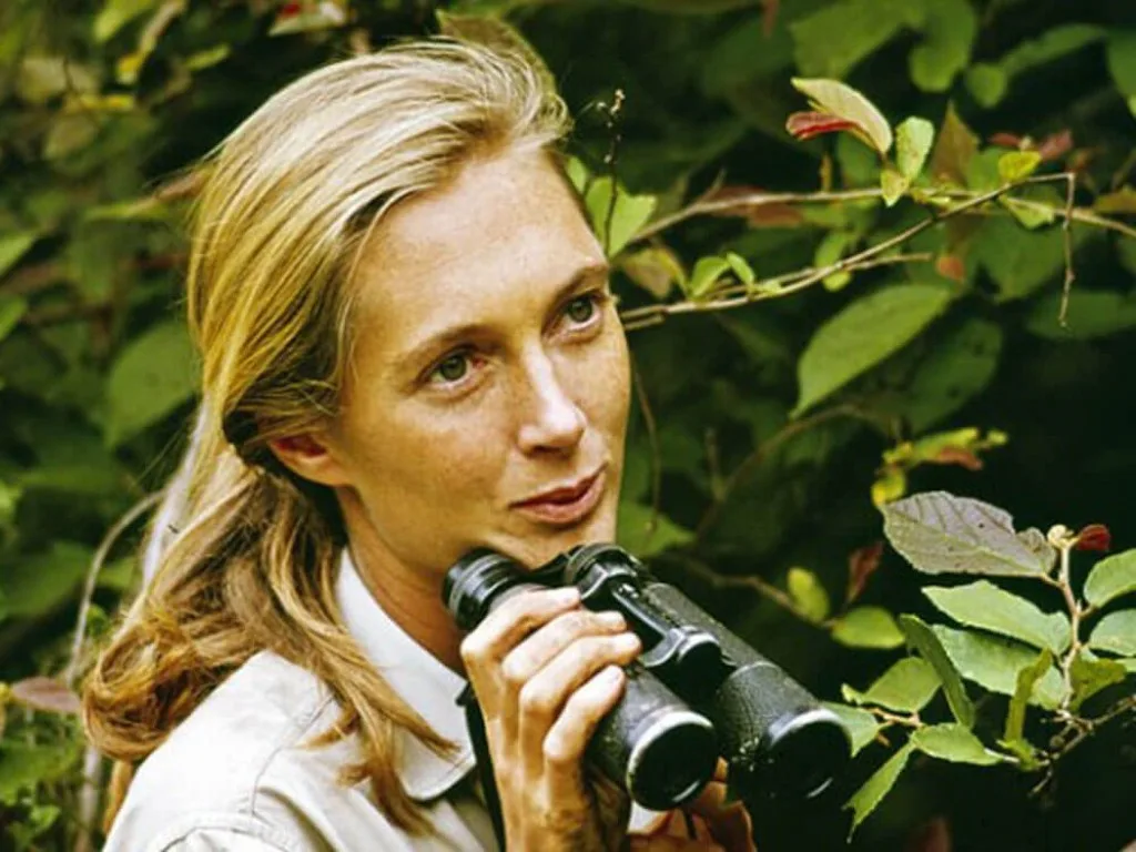 Your Life Matters Jane Goodall 1934 2025 Tributes.webp