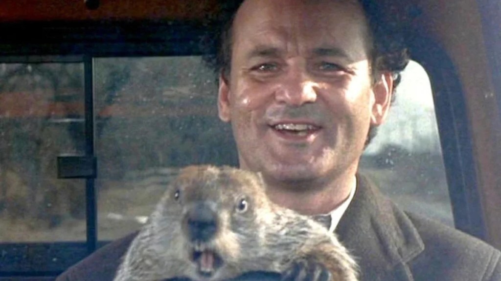 jour de la marmotte-bill-murray-image