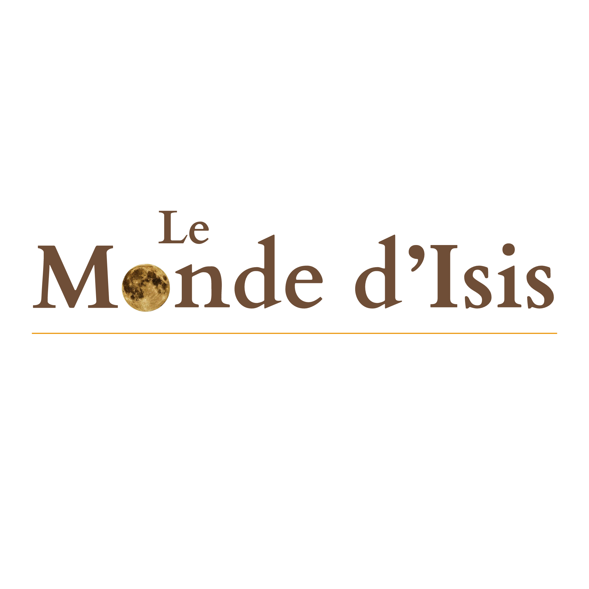 Logo LMI fond blanc1