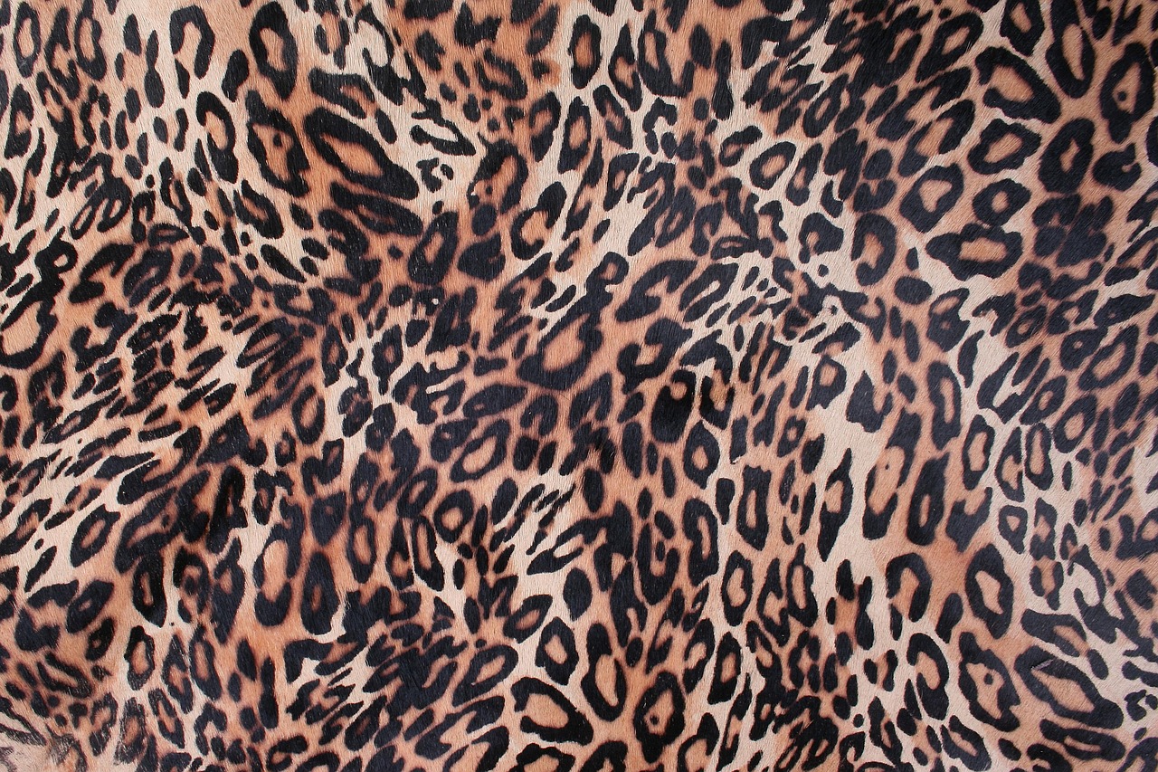 Look jupe longue leopard