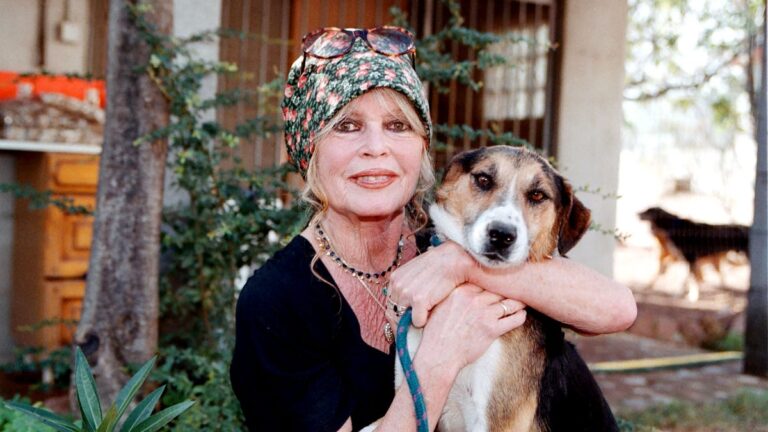On se souvient de Brigitte Bardot pour sa carrière cinématographique, ses efforts inlassables pour sauver les animaux – et sa politique avant-gardiste