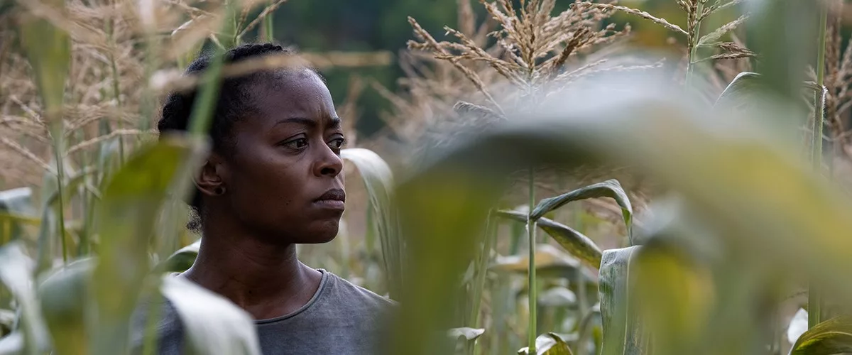 The 10 Best Horror Films of 2025 Features.webp