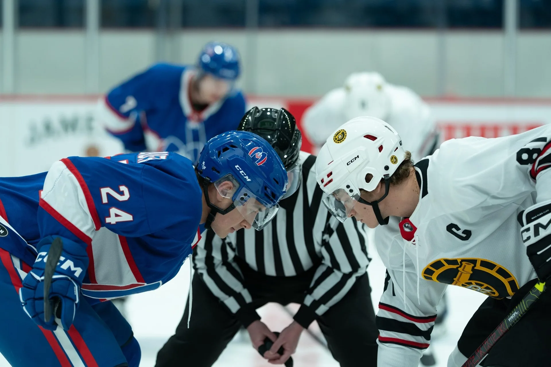 The Many Reasons Women Are Watching Heated Rivalry TVStreaming.webp