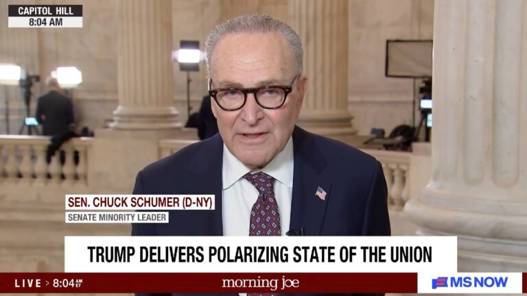 Chuck Schumer éviscère le discours de Trump sur « l'état d'illusion » : « un échec total » | Vidéo
