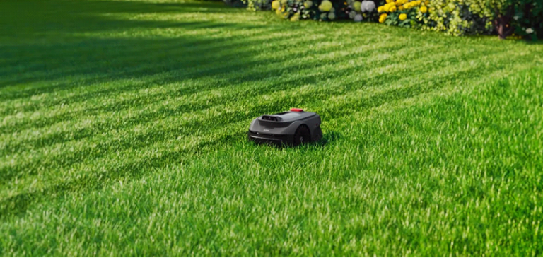 Meilleur Robot Tondeuse pour une Pelouse Bien Entretenue