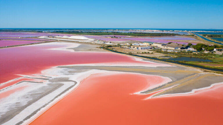 Sel et paysages roses : immersion dans les salins d’Aigues-Mortes sur la côte camarguaise !