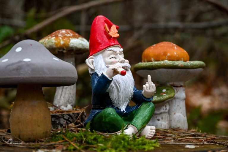 Nain de jardin personnalisé : quand la déco extérieure assume enfin l’humour avec Meilleur Nain de Jardin.com