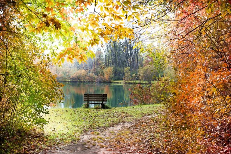 Pourquoi l’automne nous donne-t-il envie de ralentir sans vraiment nous arrêter ?