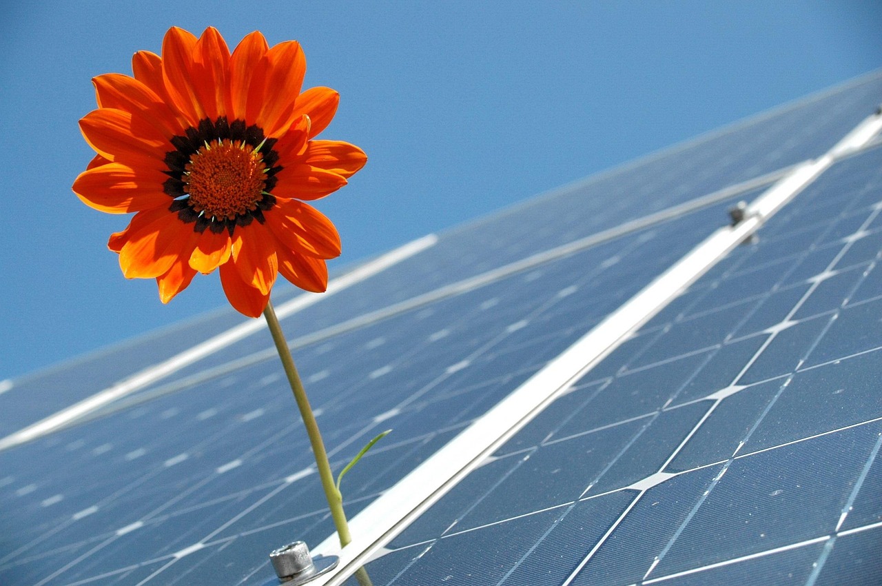 photovoltaïque